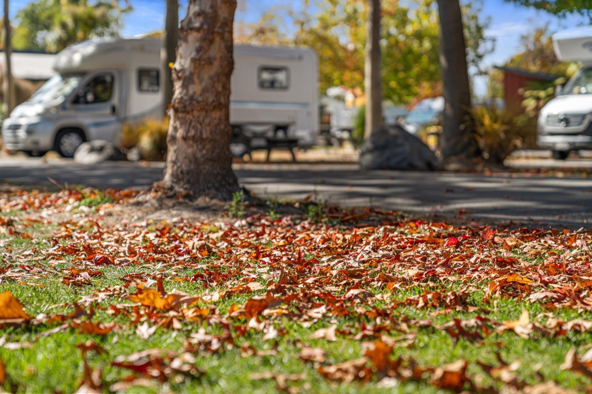 Tasman Holiday Parks - Christchurch Buitenkant foto Autumn leaves on the ground